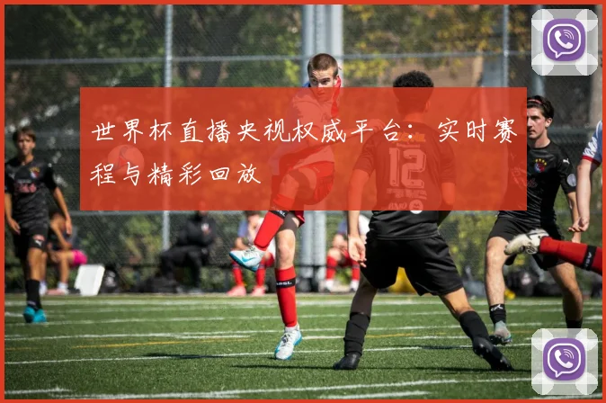 世界杯直播央视权威平台：实时赛程与精彩回放