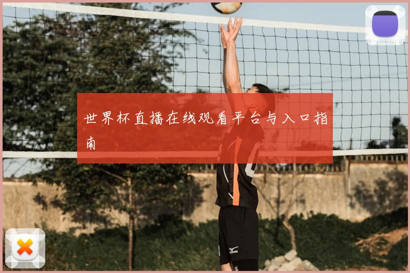 世界杯直播在线观看平台与入口指南