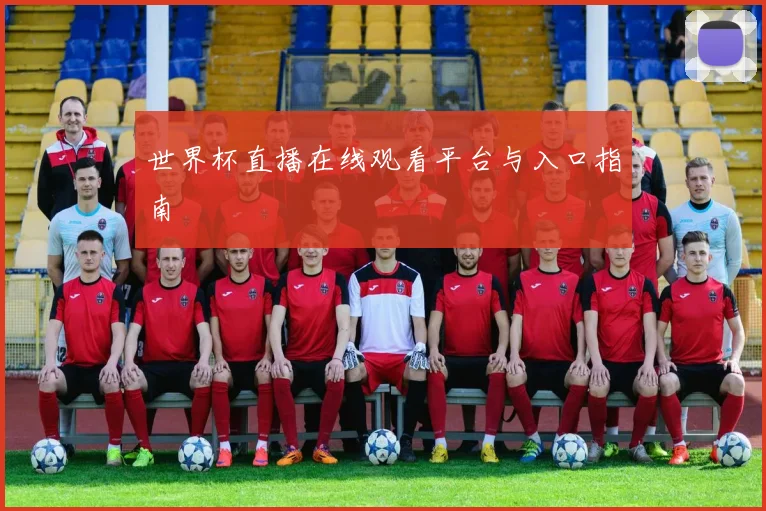 世界杯直播在线观看平台与入口指南